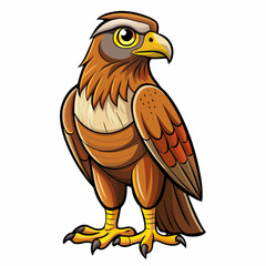 red tailed hawk