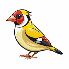 vector illustration of a goldfinch bird