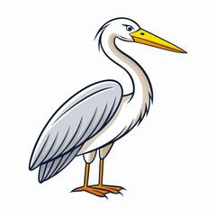 great egret on white background