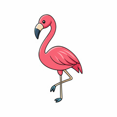 pink flamingo isolated on white