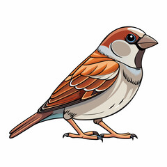sparrow on a branch