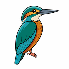 kingfisher on a branch