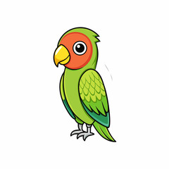 lovebird on white background
