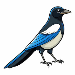 magpie bird on a branch