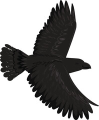 set of silhouettes of bird vector art background 