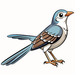 vector illustration of a northern mockingbird