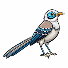 vector illustration of a northern mockingbird