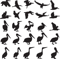 set of silhouettes of bird vector art background 