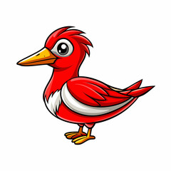 red phalarope isolated on white background