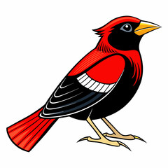 vector illustration of a red winged blackbird