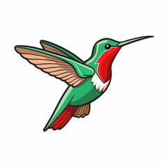 hummingbird in flight