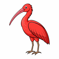 vector illustration of a scarlet ibis