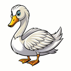 swan on white background