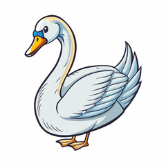 swan on white background