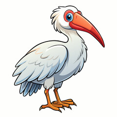 ibis on white background