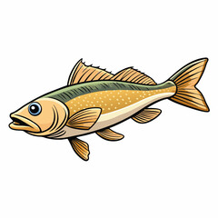 atlantic cod fish on a white background