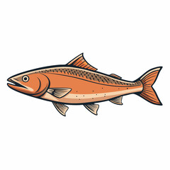 salmon fish on a white background