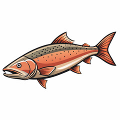 salmon fish on a white background
