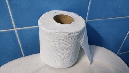 roll of toilet paper