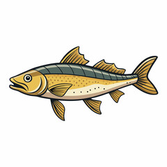 haddock fish on a white background