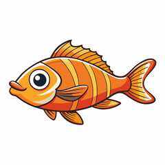 oscar fish on a white background