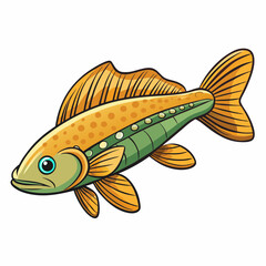 plecostomus fish on white