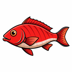 snapper fish on a white background