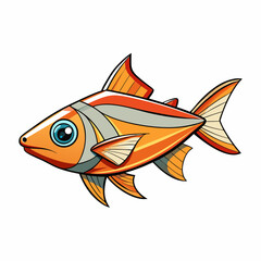 rummy nose tetra fish on a white background