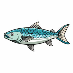 tarpon fish on a white background