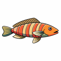 vector illustration of a wrasse fish