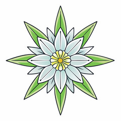 vector illustration of an edelweiss flower