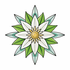 vector illustration of an edelweiss flower