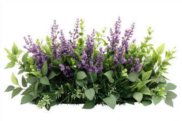 Fototapeta premium Isolated tree surrounded by a flourishing lilac bush with lavender blossoms in a natural setting captured from a close-up viewpoint for botanical enthusiasts