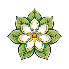 jasmine flower isolated on white background