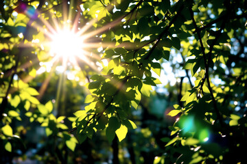 Obraz premium Sunlight bursts through vibrant green leaves, creating lens flares and illuminating the lush foliage in a natural outdoor setting.
