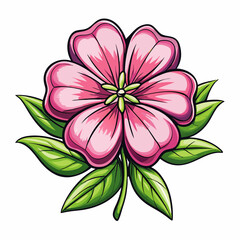 petunia flower isolated on white background