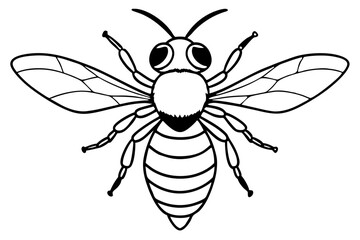 carpenter bee line art silhouette vector illustration