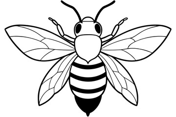 carpenter bee line art silhouette vector illustration