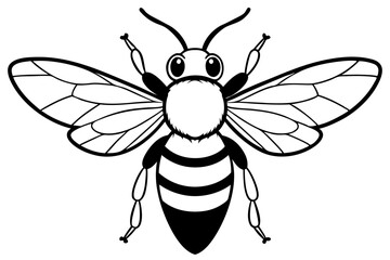 carpenter bee line art silhouette vector illustration