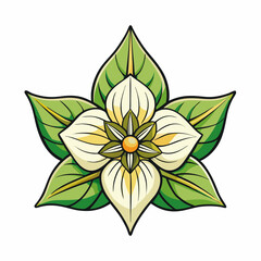 trillium flower vector illustration