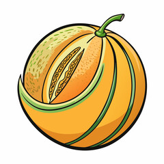 cantaloupe isolated on white background