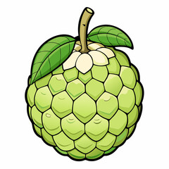 vector illustration of a custard apple