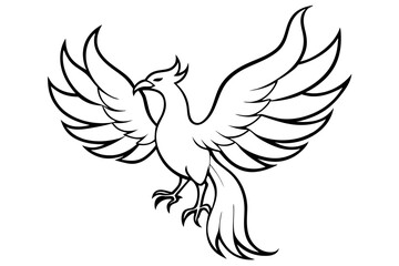 fenix bird line art silhouette vector illustration
