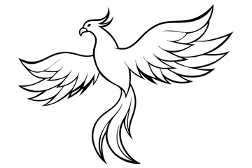 fenix bird line art silhouette vector illustration