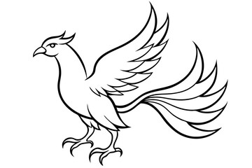 fenix bird line art silhouette vector illustration