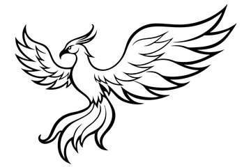fenix bird line art silhouette vector illustration