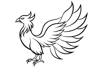 fenix bird line art silhouette vector illustration