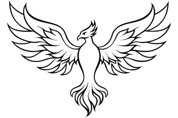 fenix bird line art silhouette vector illustration