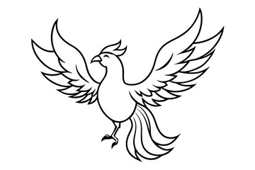 fenix bird line art silhouette vector illustration