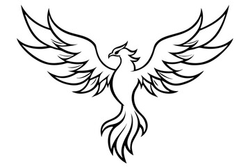 fenix bird line art silhouette vector illustration